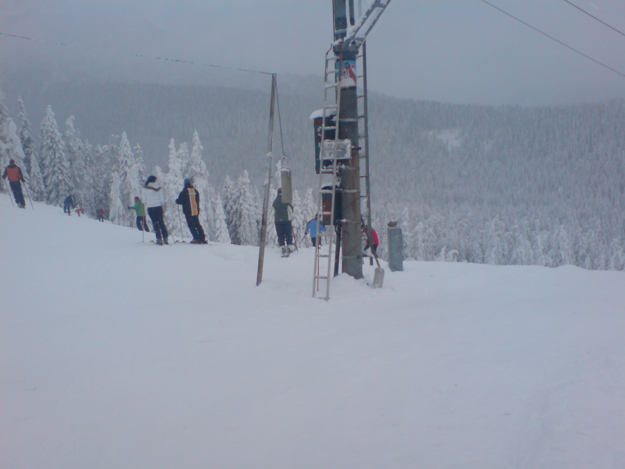 DSC02450.JPG